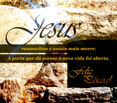 600x600px---Midias-Sociais