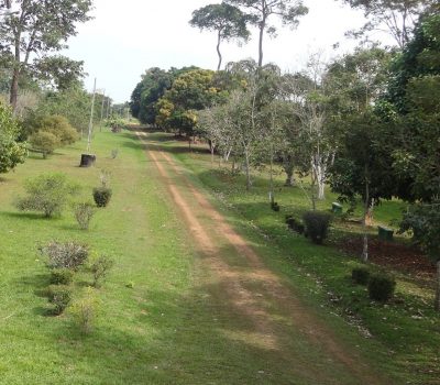 Casa de Retiro - Irs. Servas de Maria Reparadora - Rio Branco - Regional Noroeste